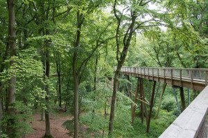 Hotel und Reisetipps für den Baumwipfelpfad Neuschönau