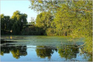 Natur und Parks Deutschland - hotelsuche.de