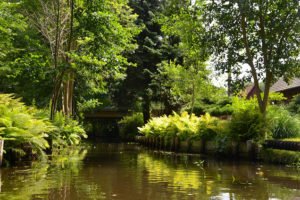 spreewald-brandenburg-01