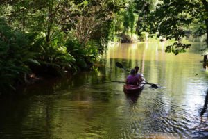 spreewald-brandenburg-03