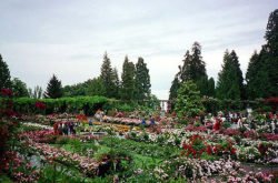 insel mainau im bodensee