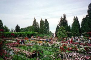 insel mainau