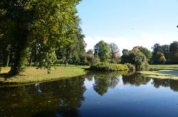 schlosspark sanssouci